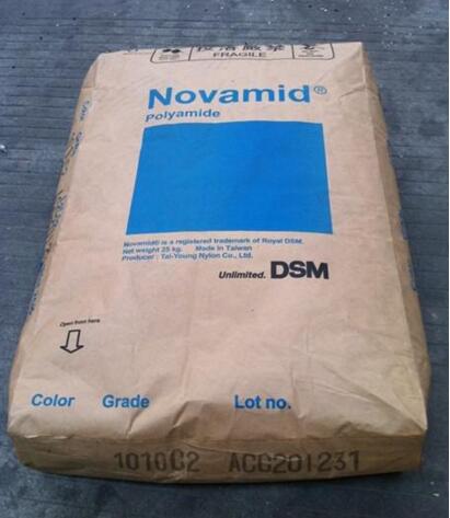 PA6 臺灣DSM 1 好